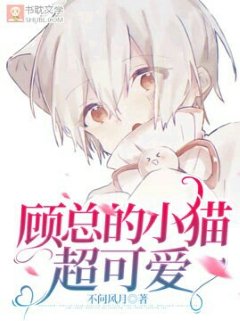 《顾总的小猫超可爱》