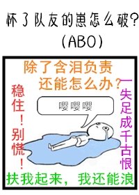 《怀了队友的崽怎么破》
