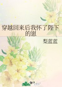 《穿越回来后我怀了陛下的崽》
