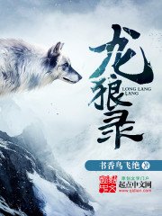 《龙狼录》