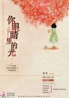 《你眼睛裏的光》