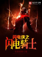 《闪电侠之闪电骑士》