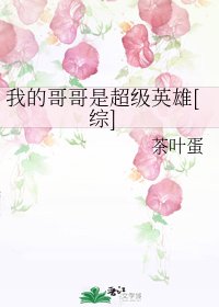 （综同人）我的哥哥是超级英雄[综]