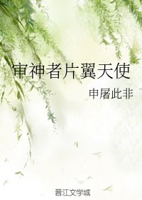 （综同人）审神者片翼天使/审神者萨菲罗斯