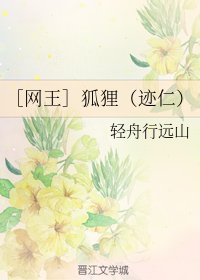 《(网王同人)狐狸(迹仁)》