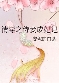 《清穿之侍妾成妃记》