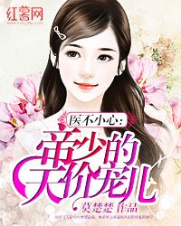 《医不小心:帝少的天价宠儿》