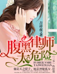 《一路上有你,律师老公太危险》