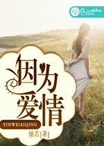 《因为哎情》