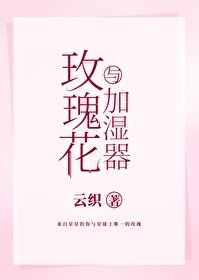 《玫瑰花与加湿器》
