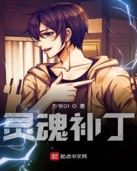 《灵魂补丁》