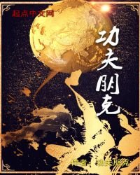 《功夫朋克》