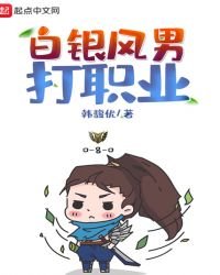 《白银风男打职业》