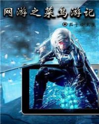 《网游之菜鸟游记》