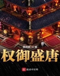 《权御盛唐》