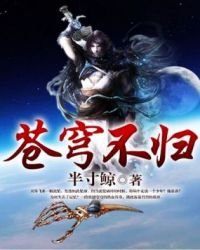 苍穹不归