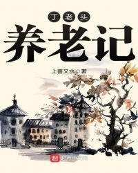 《丁老头养老记》