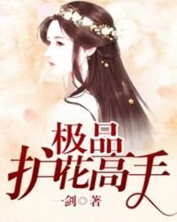 极品护花高手