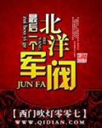 《最后一个北洋军阀》