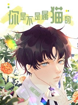 《你是不是属猫的/小孩儿》