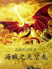 （海贼王同人）海贼之天空龙
