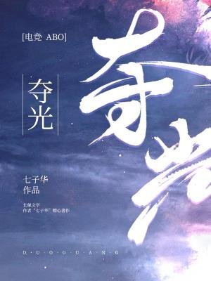 《夺光》
