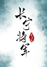 《长宁将军》