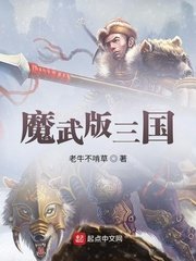 《魔武版三国》