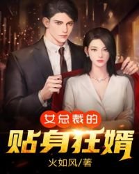 《女总裁的贴身狂婿》