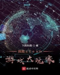 我是steam游戏大玩家