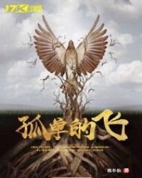 《孤单的飞》