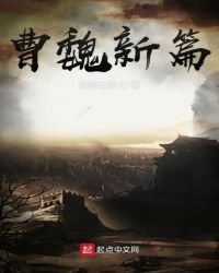 《曹魏新篇》