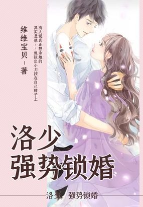 《洛先生的清潜时光/洛少,强史锁婚》