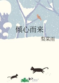 倾心而来