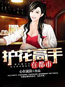 《護花高手在都市》
