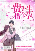 《费先生,借个孕》