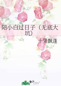 陪小白过日子（无底大坑）