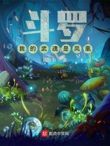 《斗罗:我的武魂是凤凰》