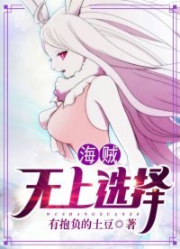 《海贼:无上选择》