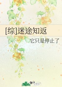 [综]迷途知返