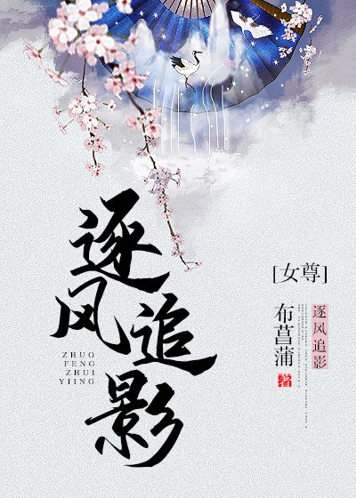 《逐风追影(女尊)》