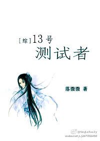 [综]13号测试者