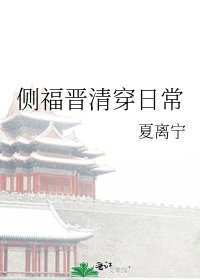 《侧福晋清穿日常》