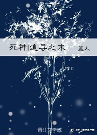 [死神] 追寻之末