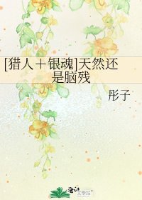 [猎人＋银魂]天然还是脑残