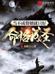 《当不成赘婿就只好命格成圣》