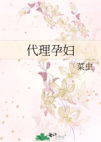 《代理孕妇》
