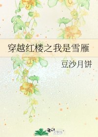 穿越红楼之我是雪雁
