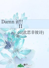 《Damn it!!! II》