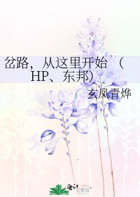 《岔路,从这里开始 (HP、东邦)》